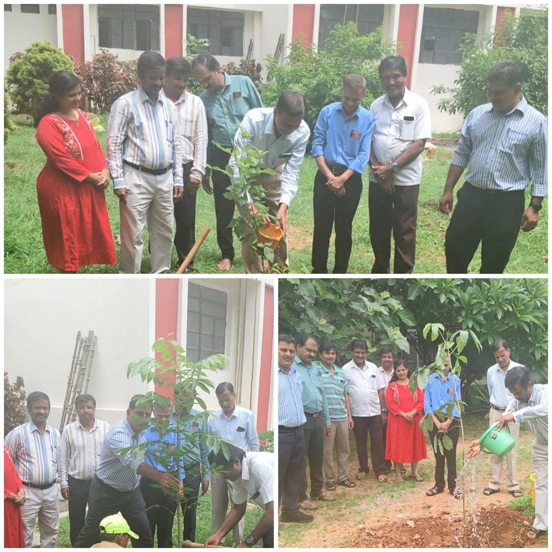 Tree Of Hope - Image 6